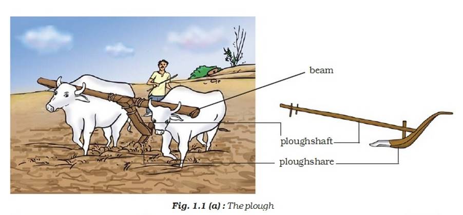 Image result for crop production and management plough