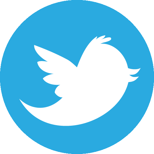 twitterIcon
