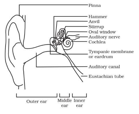 class ix science chapter 12 sound 6