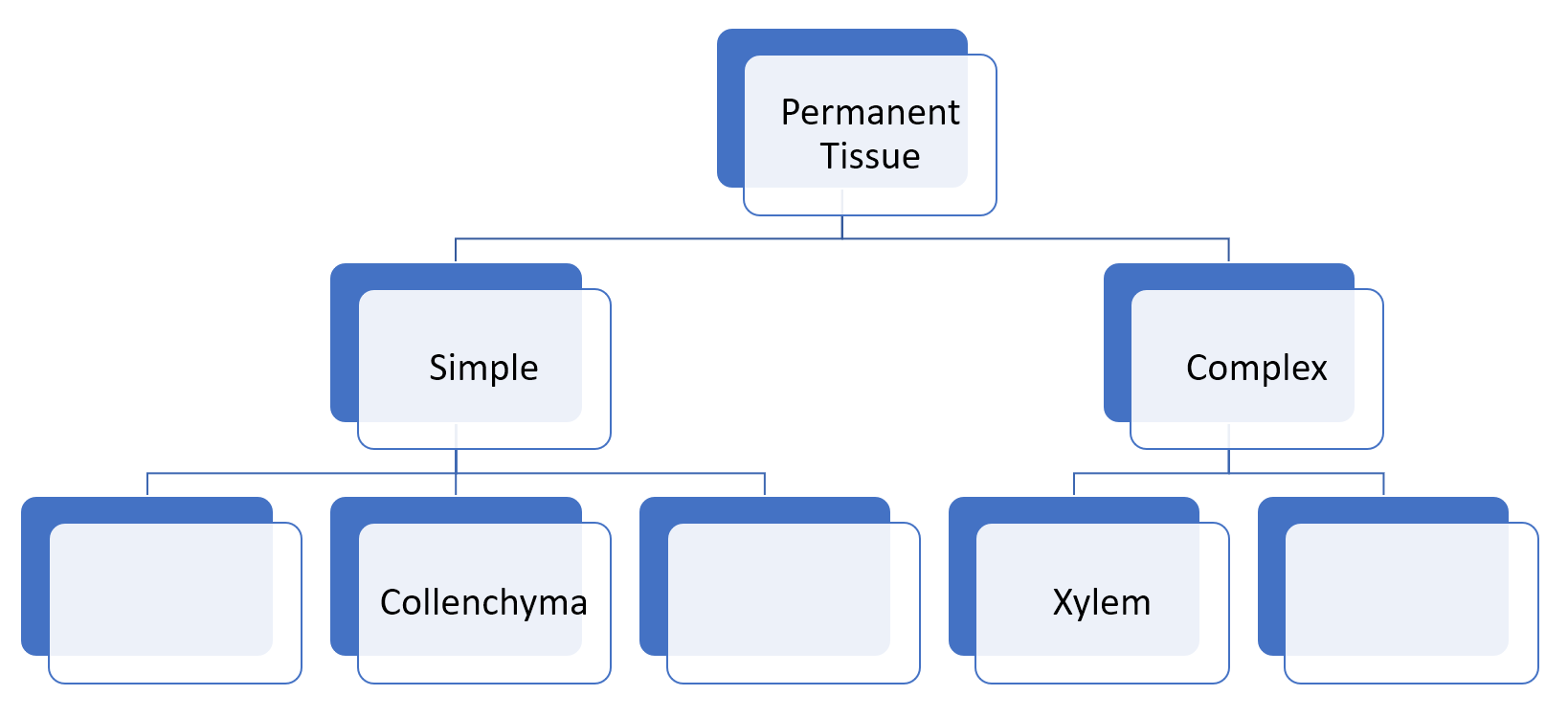 class ix chapter 6 tissues table