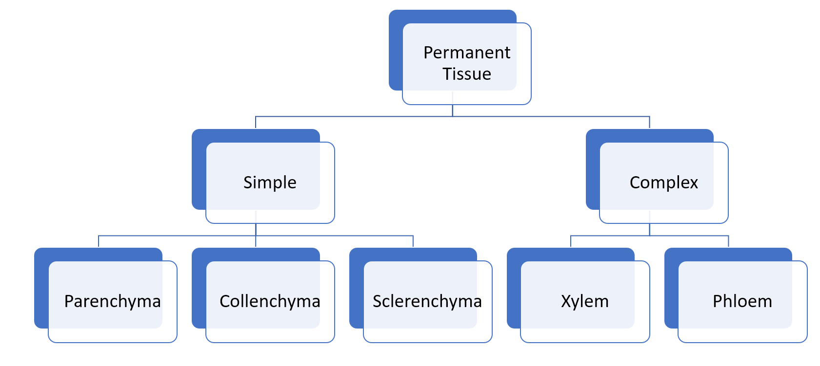 class ix chapter 6 tissues table complete